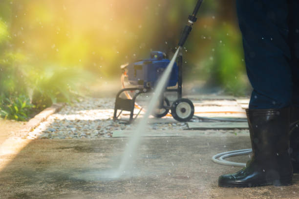 Best Roof Washing  in Three Rivers, MI